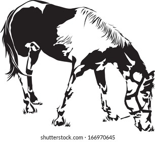 Horse black and white, illustration vector design.