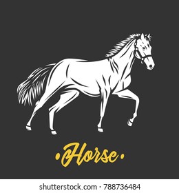 Horse. Black and white vector objects.
