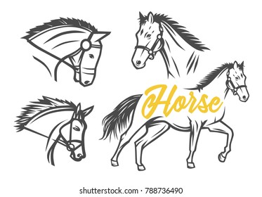 Horse. Black and white vector objects.
