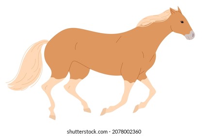 Horse with blond mane is galloping slowly.