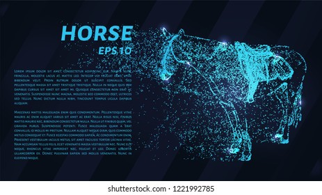 Horse with blue points of light. Silhouette horse is falling apart
