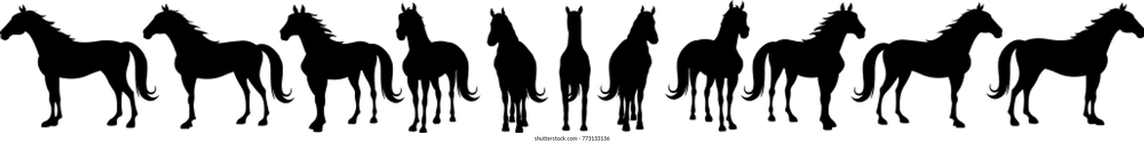 Horse Body Rotation