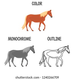 Horse breed in color, monochrome and outline design color flat icon