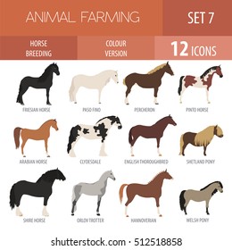 Horse breeding icon set. Farm animal. Flat design. Vector illustration