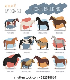 Horse breeding icon set. Farm animal. Flat design. Vector illustration