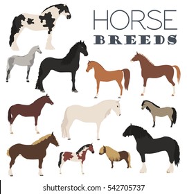 Horse breeding icon set. Farm animal. Flat design. Vector illustration