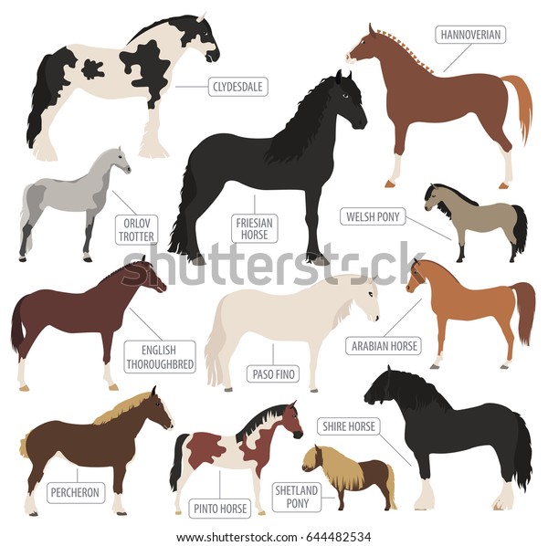 Horse Breeding Icon Set Farm Animal Stock Vector (Royalty Free) 644482534