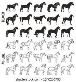 Horse breeds black and outline icons set