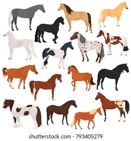 Horse breeds color flat icons set