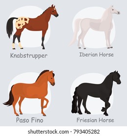 Horse breeds color flat icons set