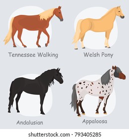 Horse breeds color flat icons set