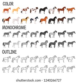 Horse breeds color, monochrome and outline icons set