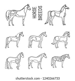 Horse breeds outline icons set