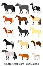 Horse breeds set