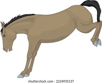 Horse Bucking and Kicking Vector Illustration