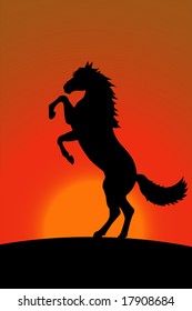 Horse bucks on the background of the sunset