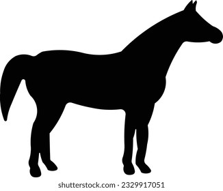 horse caballo race riding running Glyph