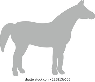 horse caballo race riding running
