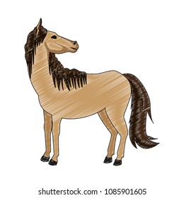 Horse cartoon isolated scribble