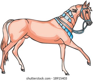 Horse Character