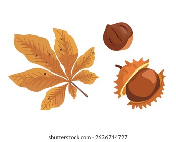 Horse chestnut. Autumn, fall. Flat vector clipart, illustration with isolated background.