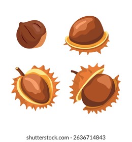 Horse chestnut. Autumn, fall. Flat vector clipart, illustration with isolated background.