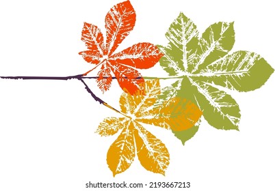 Horse chestnut branch with leaf stamp. Imprint of fallen leaves. Autumn pattern. Creative natural decor. Hand-crafted vector art prints. Seasonal modern packaging.