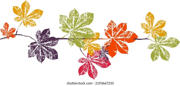 Horse chestnut branch with leaf stamp. Imprint of fallen leaves. Autumn pattern. Creative natural decor. Hand-crafted vector art prints. Seasonal modern packaging.