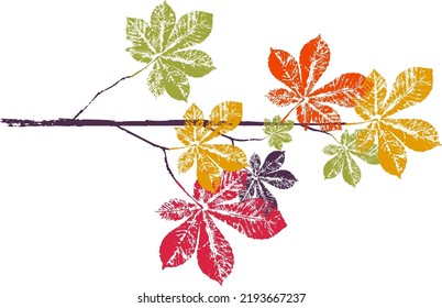 Horse chestnut branch with leaf stamp. Imprint of fallen leaves. Autumn pattern. Creative natural decor. Hand-crafted vector art prints. Seasonal modern packaging.