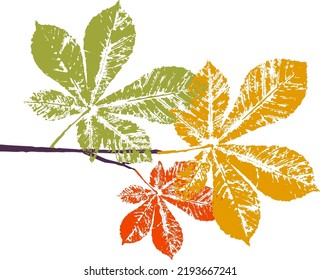 Rama de castaño de caballo con sello de hoja. Impresión de hojas caídas. Patrón de otoño. Decoración natural creativa. Impresiones de arte vectorial artesanal. Empaque moderno de temporada.