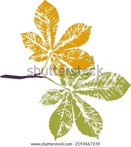 Horse chestnut branch with leaf stamp. Imprint of fallen leaves. Autumn pattern. Creative natural decor. Hand-crafted vector art prints. Seasonal modern packaging.