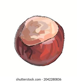 arte vectorial abierto de castañas de caballo