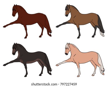 Horse Coat Color