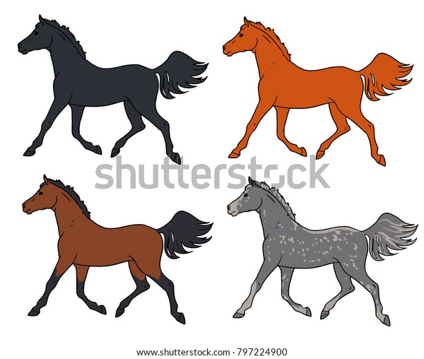 Horse Coat Color Stock Vector (Royalty Free) 797224900