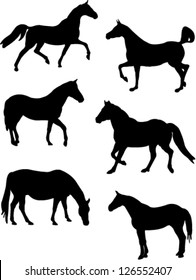 horse collection vector