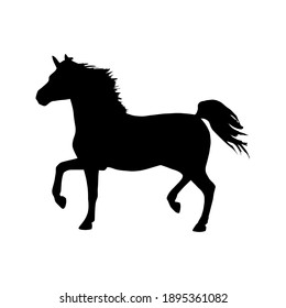 Horse collection - vector silhouette