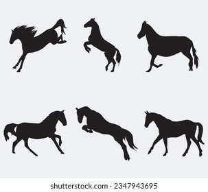 Horse collection - vector silhouette