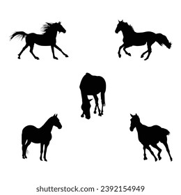 Colección de caballos - silueta vectorial