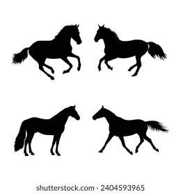 Colección de caballos - silueta vectorial
