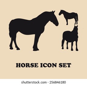 Horse collection - vector silhouette