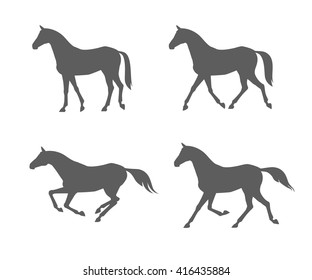 Horse collection -vector silhouette. Vector illustration of horse gaits. Running horse.