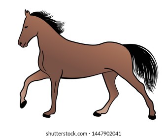 horse, color illustration - vector
