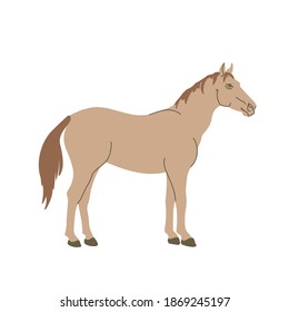 Horse in colored flat style. For logo, icons, emblems, template, badges. Vector illustration