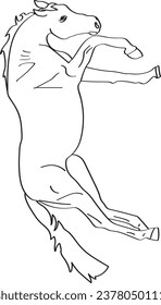 Horse coloring page for all ages