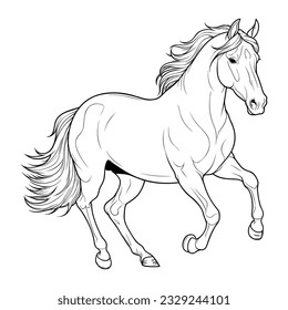 Horse coloring page for kids