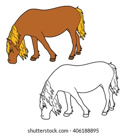 horse coloring page. Vector educational coloring page of happy cartoon horse for children, coloring and scrap book