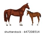 Horse and colt vector illustration, isolated on white background.