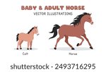 Horse and colt vector illustrations. Adult and baby horse cartoon clipart in flat style. Pet animals, farm animals concept