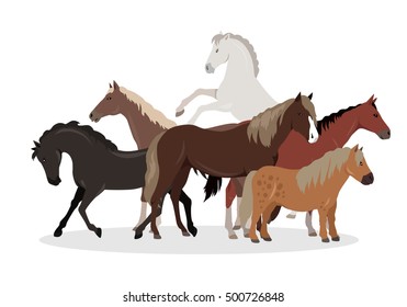Horse conceptual web banner. Flat style vector. Group of different horses breeds, variety colors and sizes standing, running and rearing. For equestrian club, horse riding courses landing page design