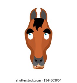 Horse confused oops. Steed perplexed emotions. hoss surprise. Vector illustration